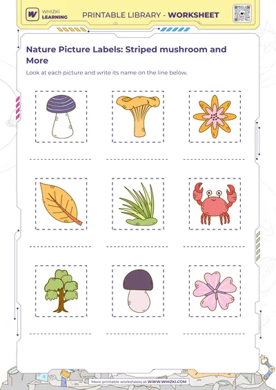 Nature Picture Labels: Striped mushroom and More