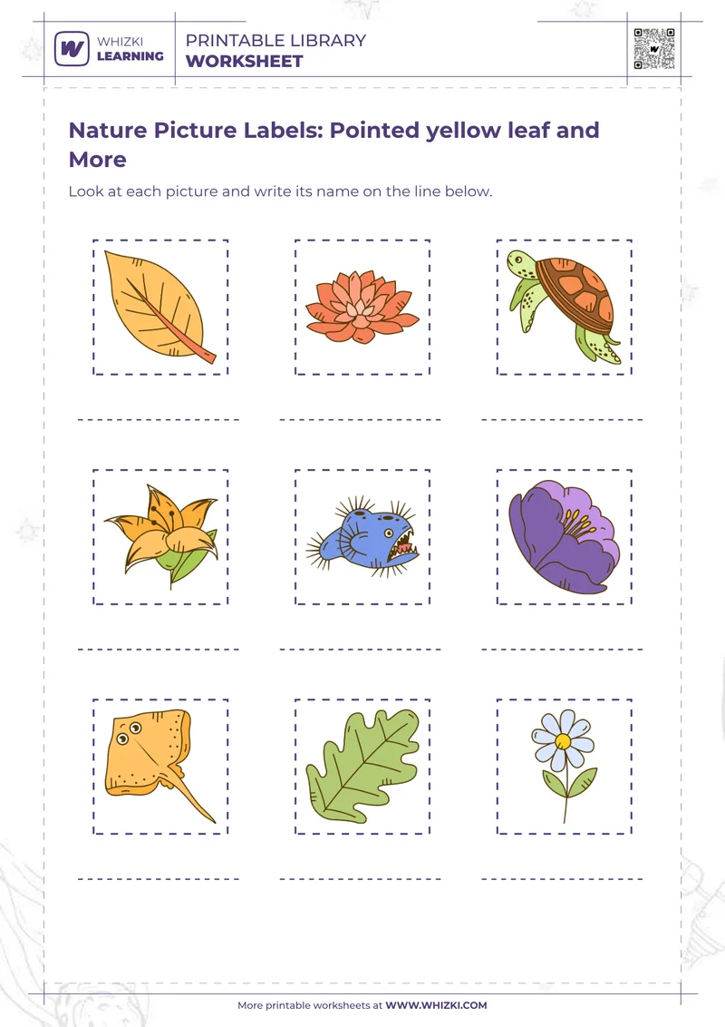 Nature Picture Labels: Pointed yellow leaf and More
