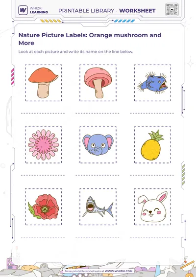 Nature Picture Labels: Orange mushroom and More