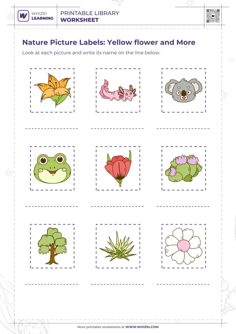 Nature Picture Labels: Yellow flower and More