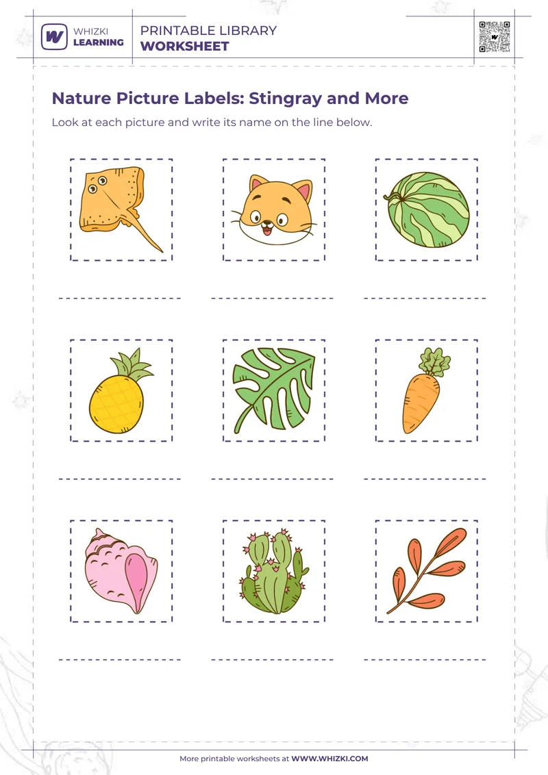 Nature Picture Labels: Stingray and More