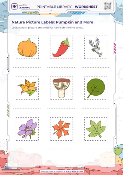Nature Picture Labels: Pumpkin and More