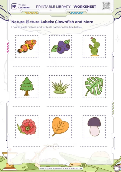 Nature Picture Labels: Clownfish and More