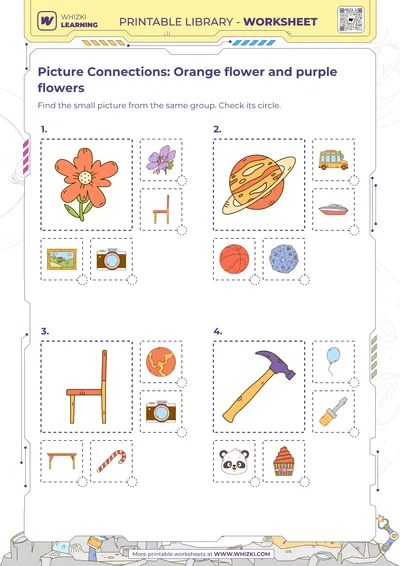 Picture Connections: Orange flower and purple flowers