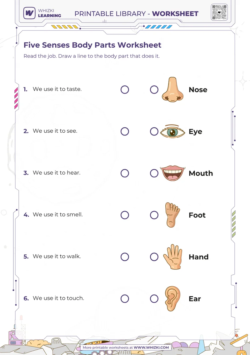 Five Senses Body Parts Worksheet
