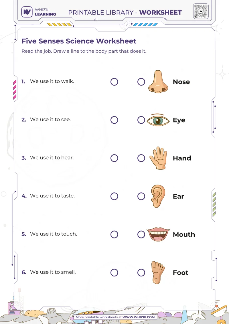 Five Senses Science Worksheet