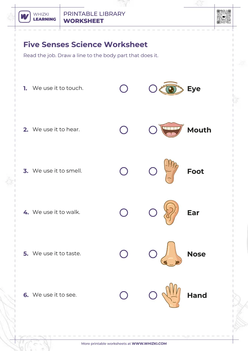 Five Senses Science Worksheet