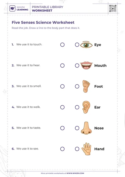 Five Senses Science Worksheet