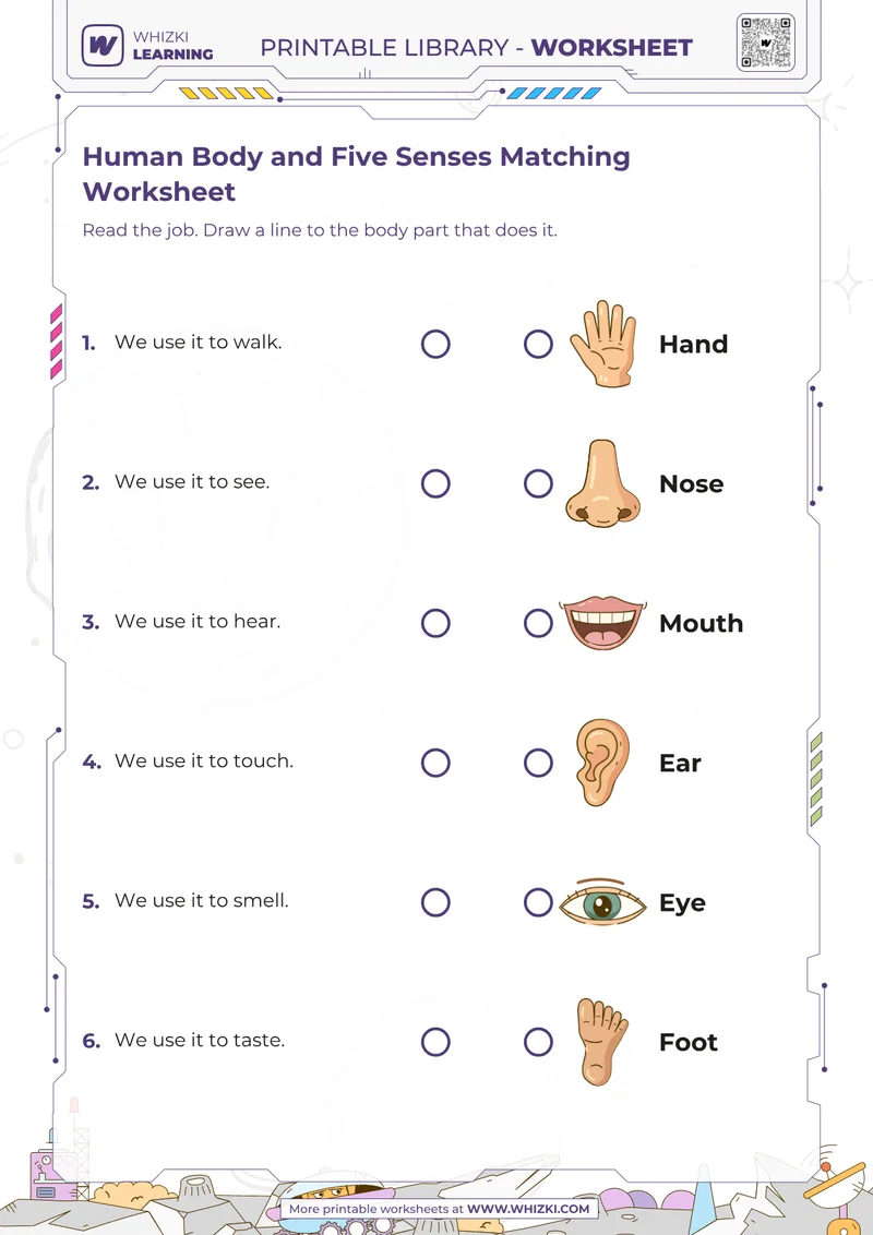 Human Body and Five Senses Matching Worksheet