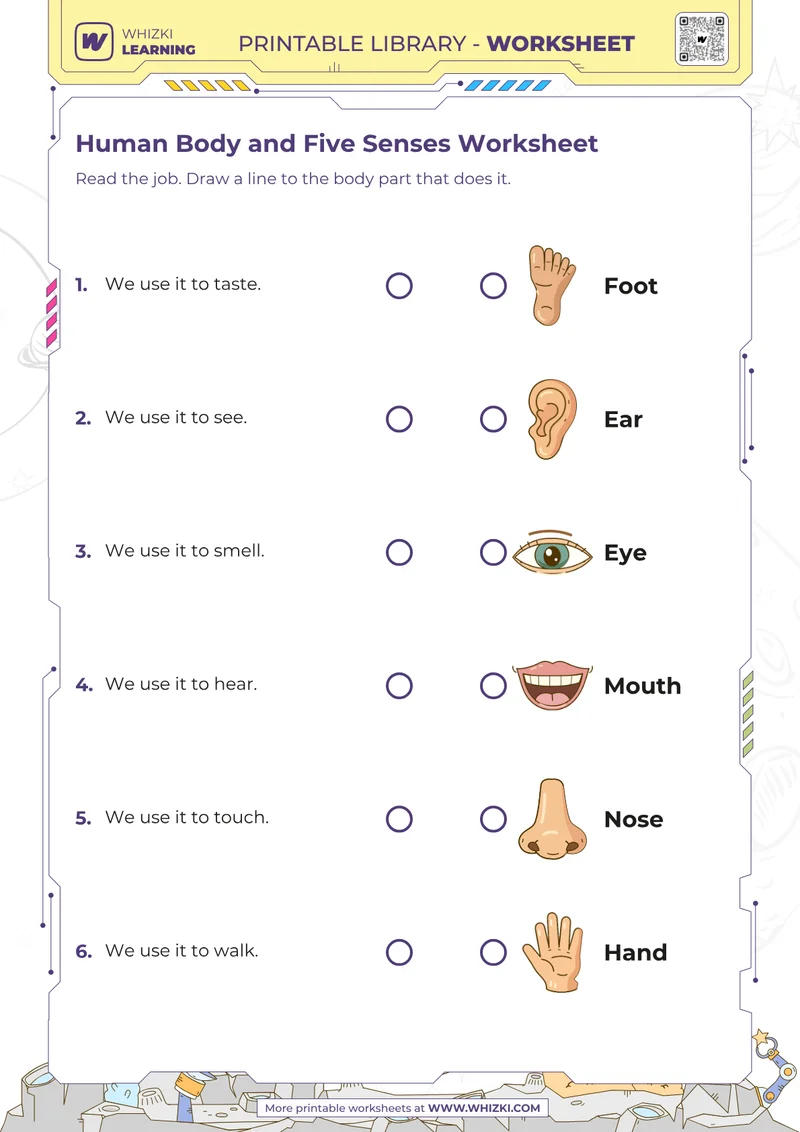 Human Body and Five Senses Worksheet