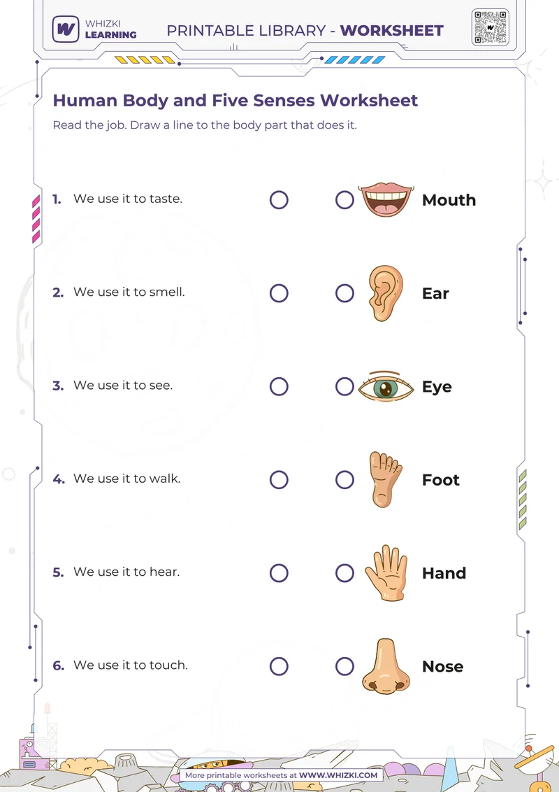 Human Body and Five Senses Worksheet