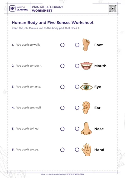 Human Body and Five Senses Worksheet
