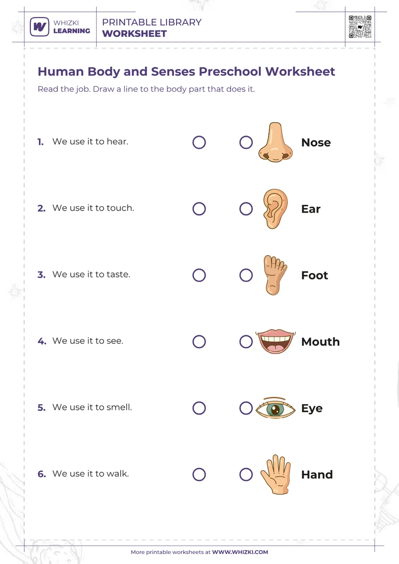 Human Body and Senses Preschool Worksheet