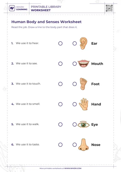 Human Body and Senses Worksheet