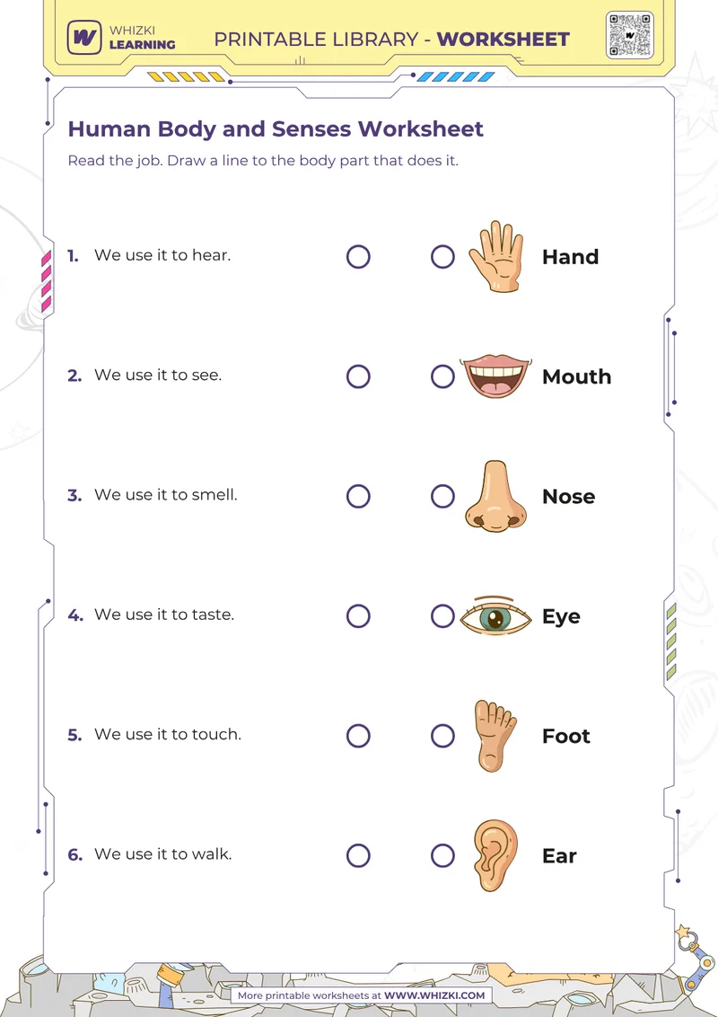 Human Body and Senses Worksheet