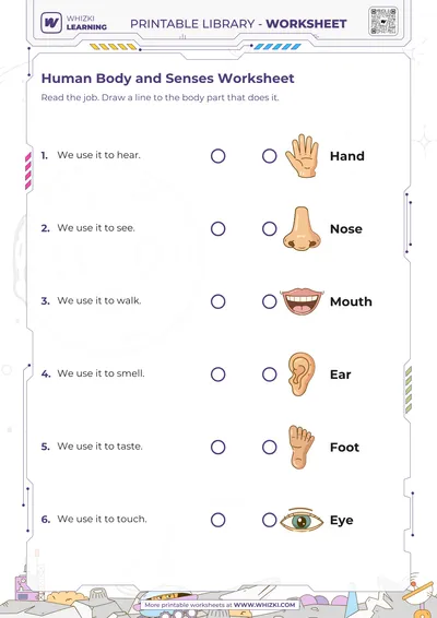 Human Body and Senses Worksheet
