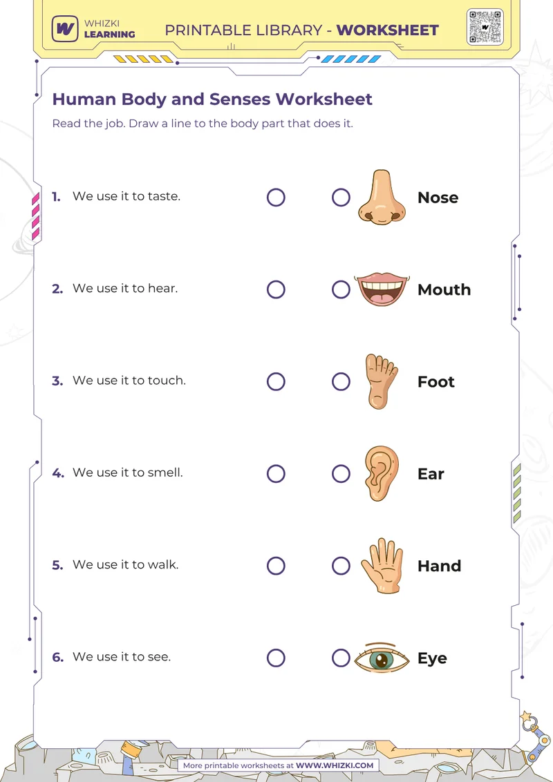 Human Body and Senses Worksheet