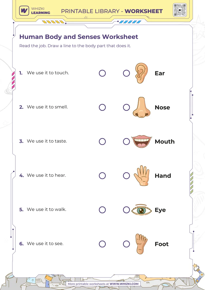 Human Body and Senses Worksheet