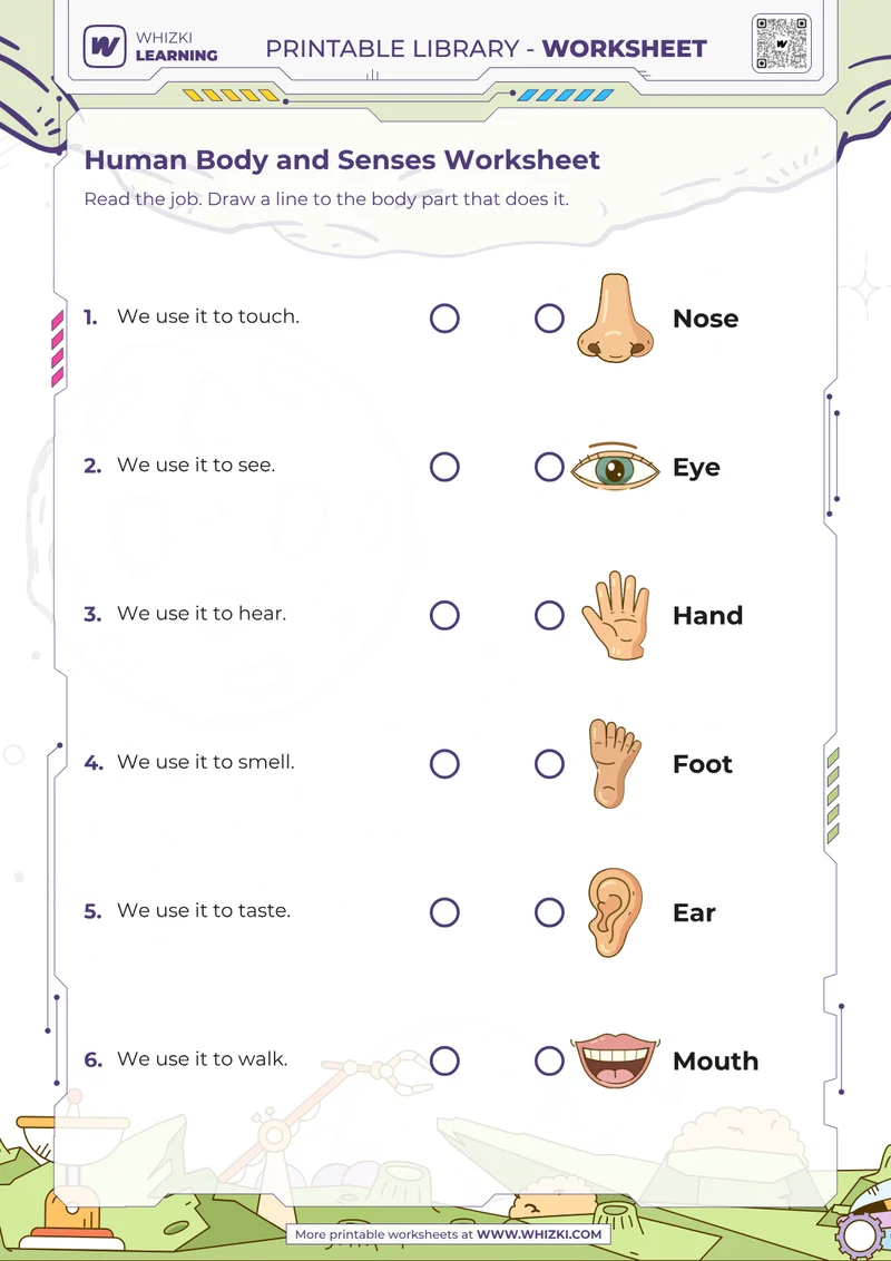 Human Body and Senses Worksheet
