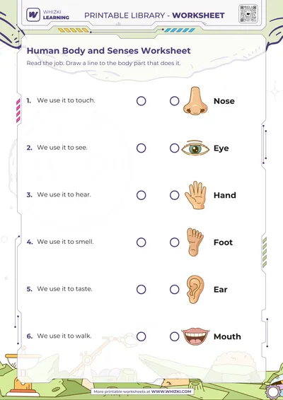 Human Body and Senses Worksheet