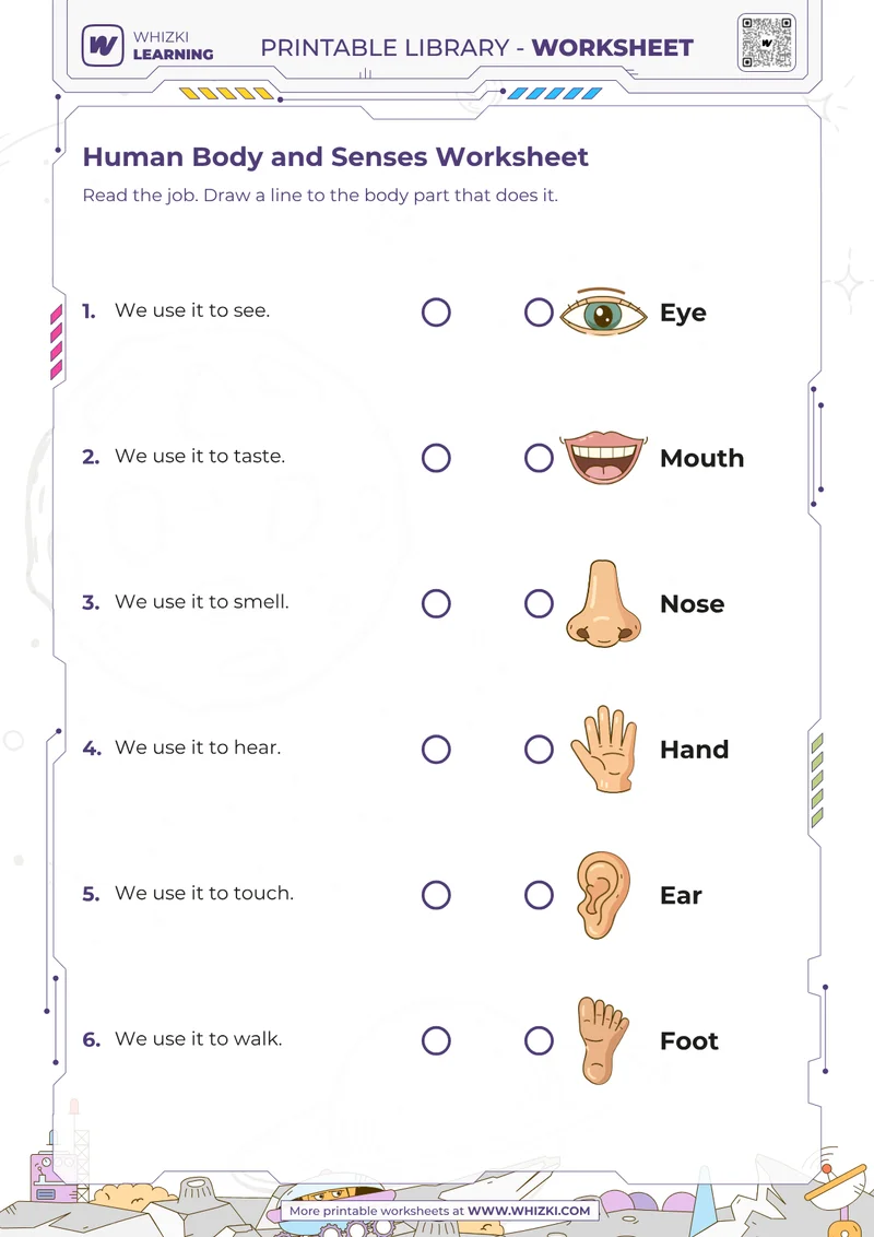 Human Body and Senses Worksheet