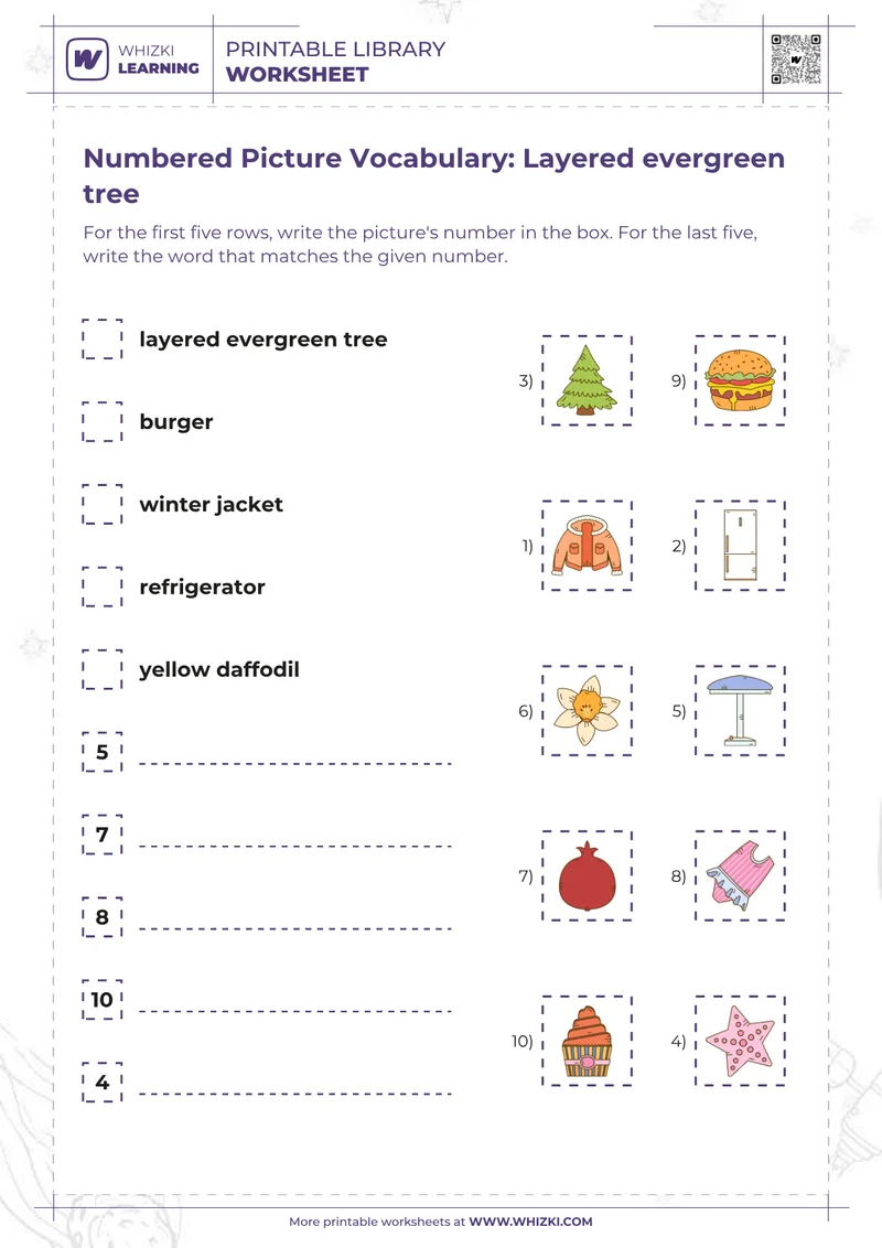Numbered Picture Vocabulary: Layered evergreen tree