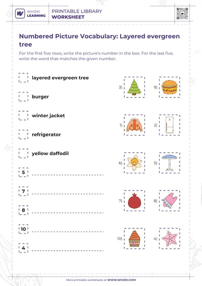 Numbered Picture Vocabulary: Layered evergreen tree