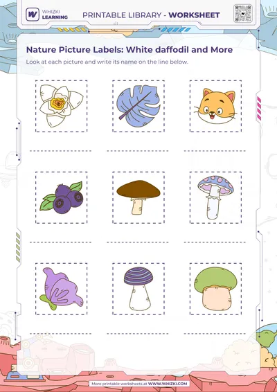 Nature Picture Labels: White daffodil and More
