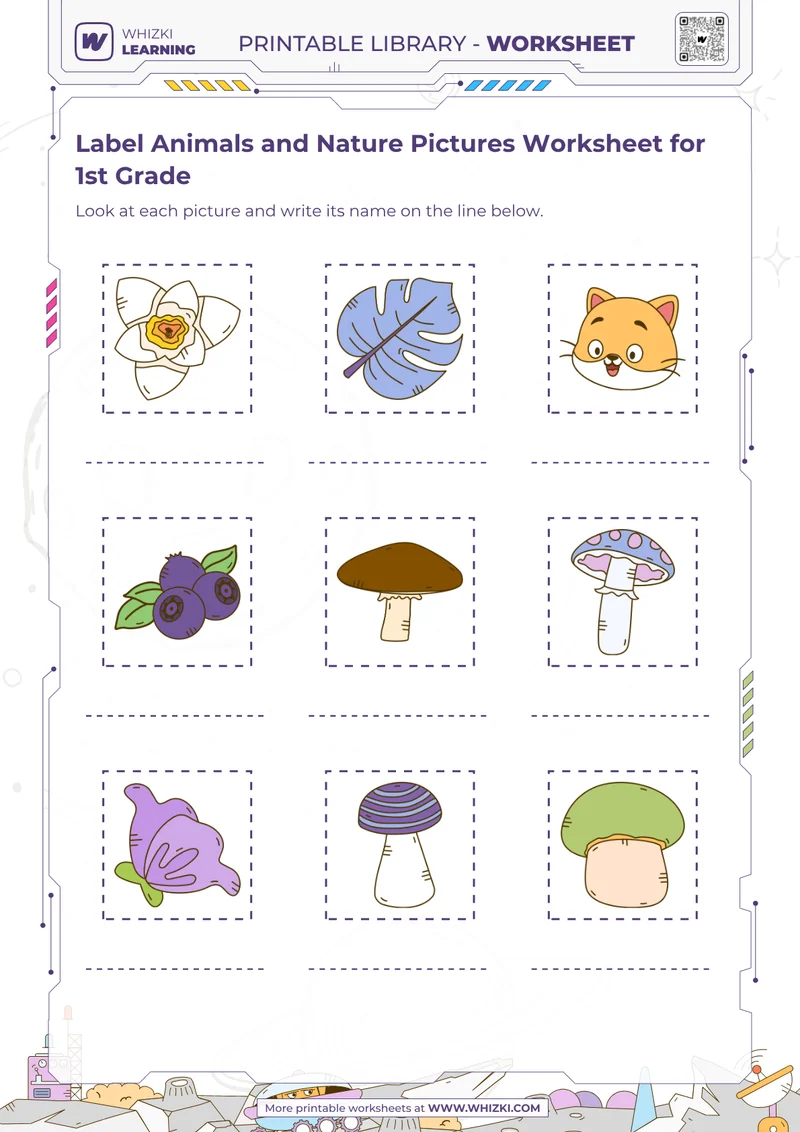 Label Animals and Nature Pictures Worksheet for 1st Grade