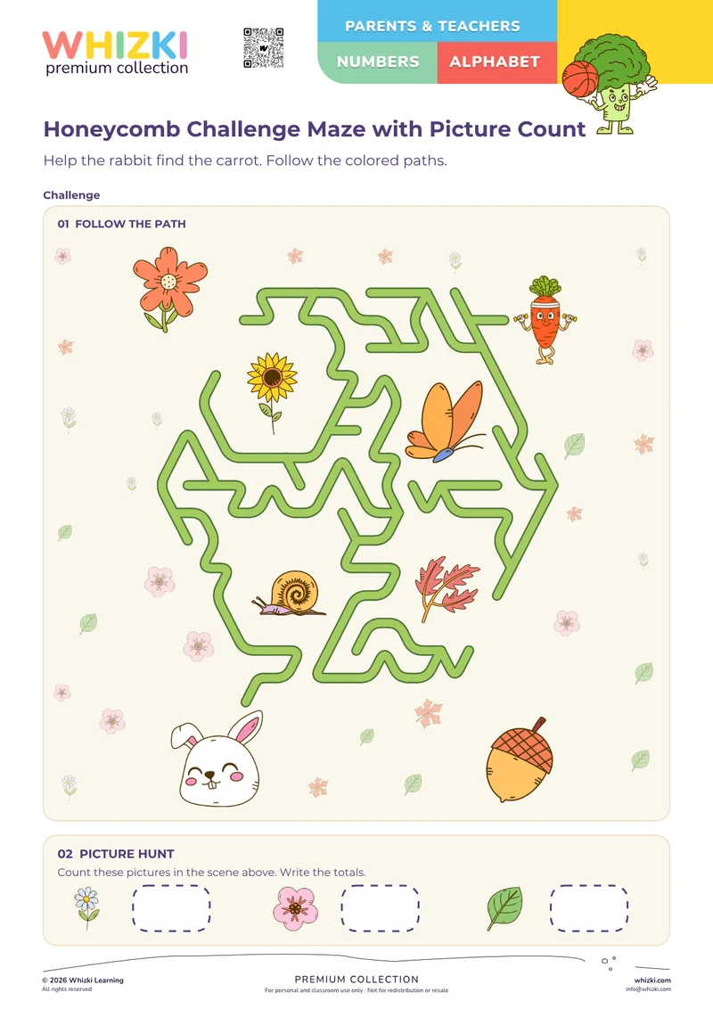 Honeycomb Challenge Maze with Picture Count