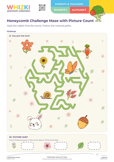 Honeycomb Challenge Maze with Picture Count