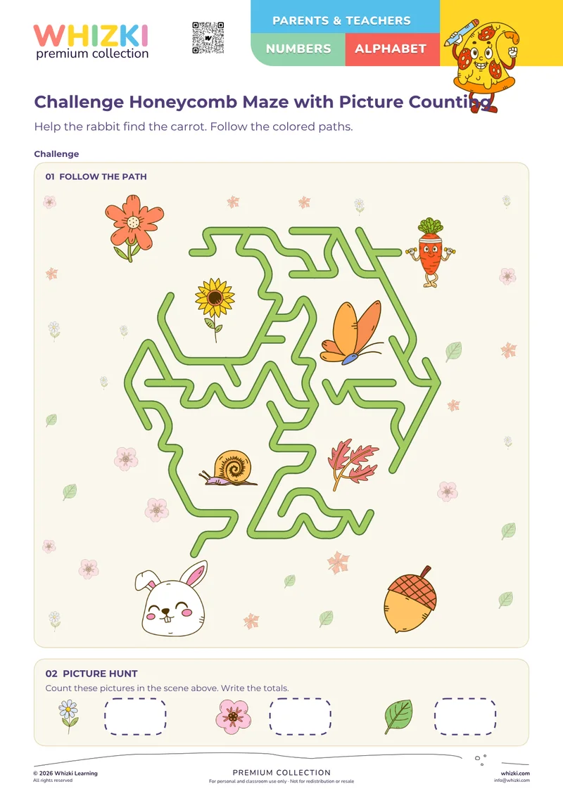 Challenge Honeycomb Maze with Picture Counting