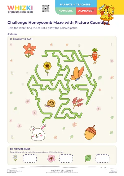 Challenge Honeycomb Maze with Picture Counting