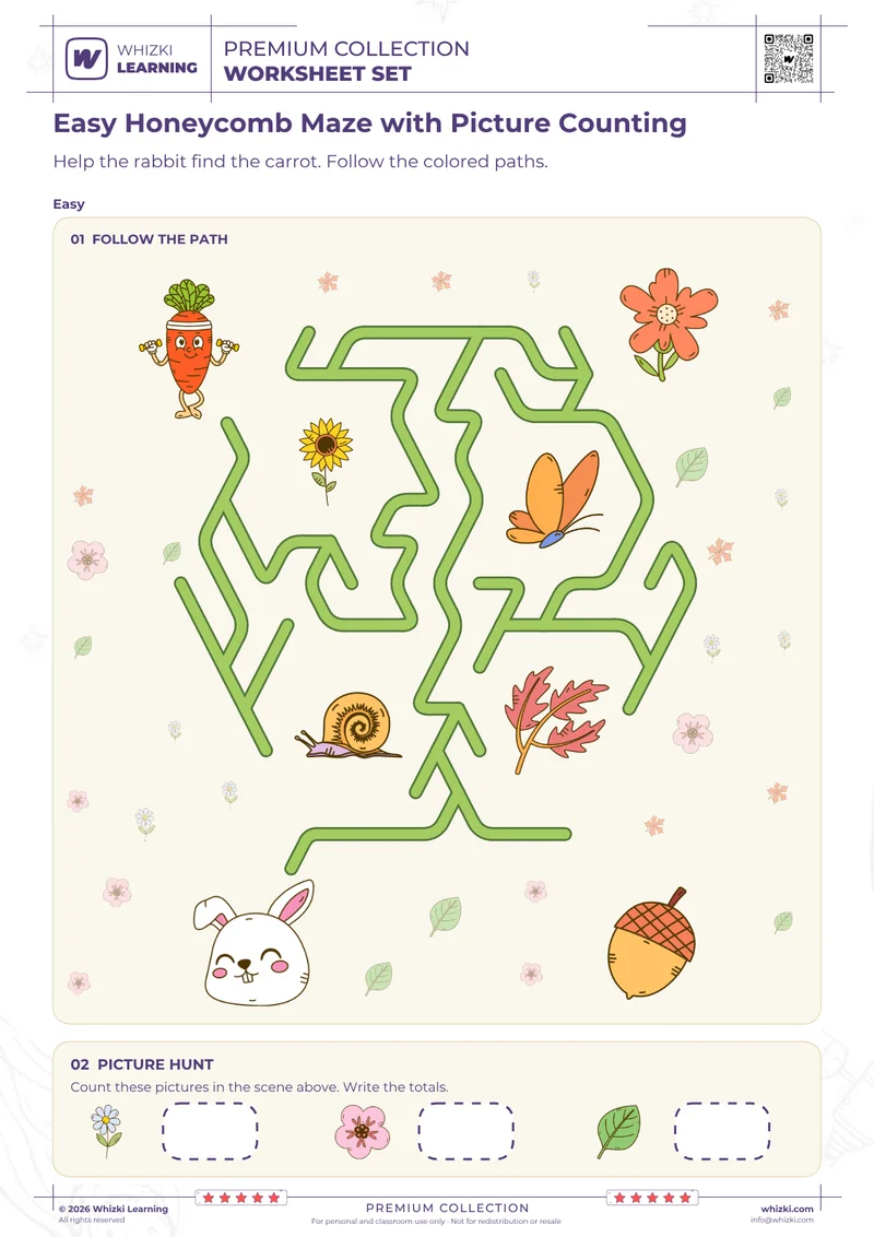 Easy Honeycomb Maze with Picture Counting