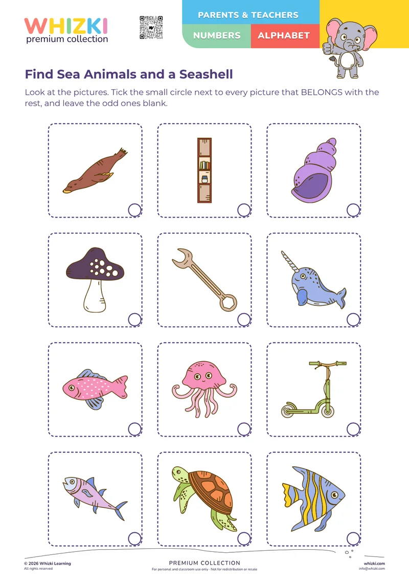 Find Sea Animals and a Seashell