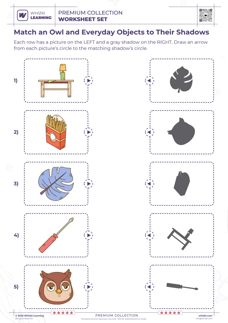 Match an Owl and Everyday Objects to Their Shadows
