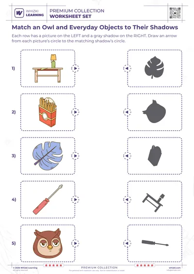 Match an Owl and Everyday Objects to Their Shadows