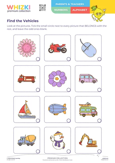 Find the Vehicles