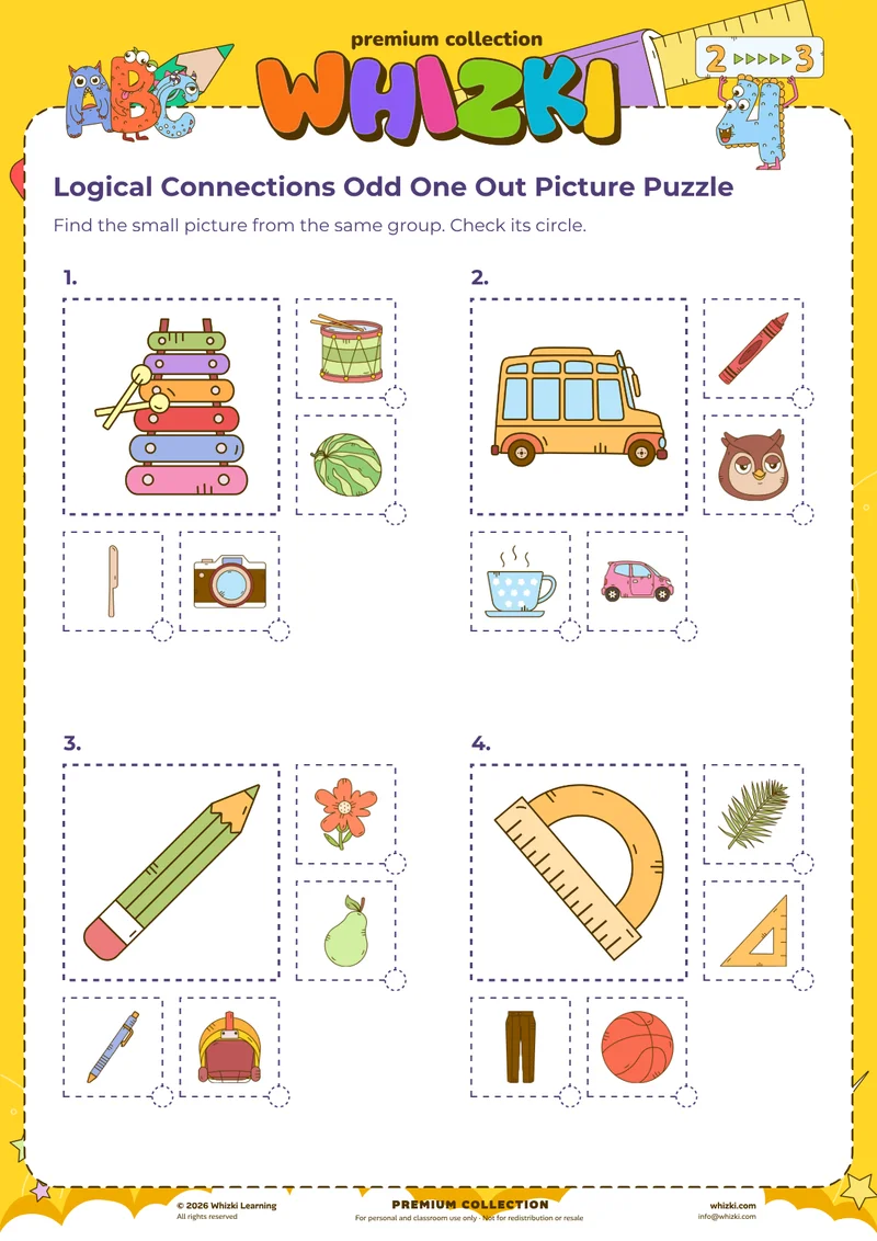 Logical Connections Odd One Out Picture Puzzle