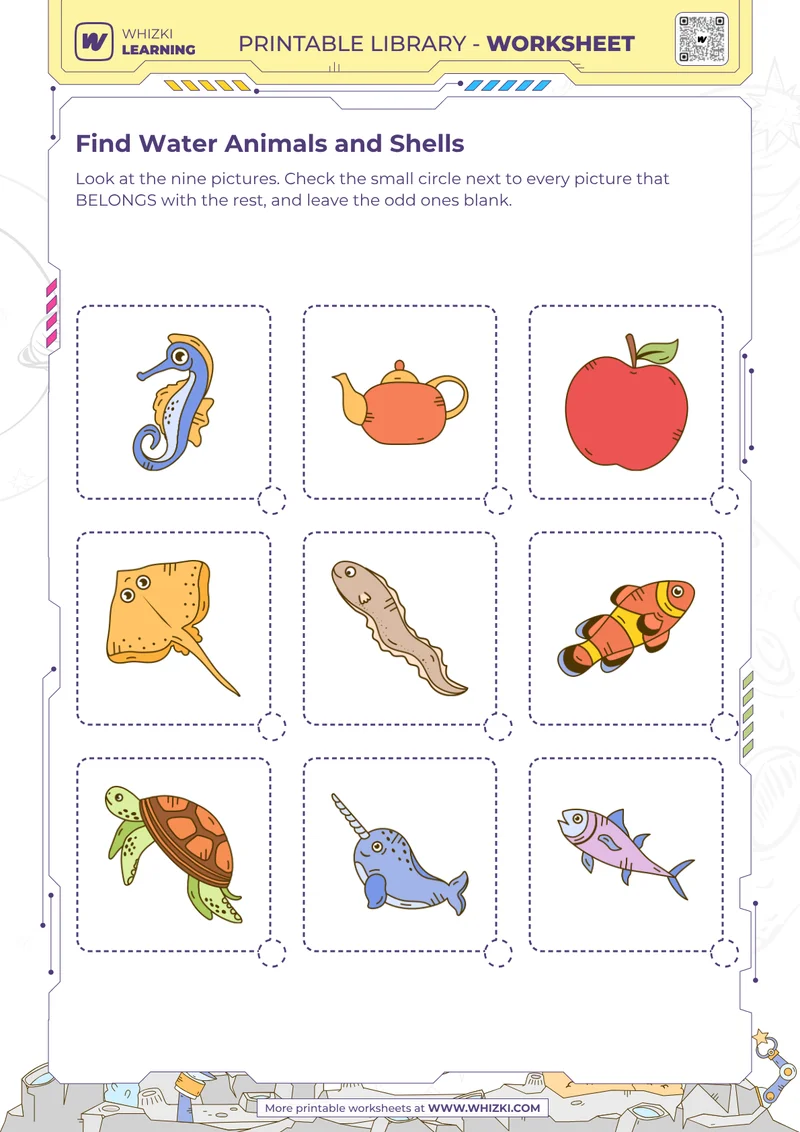 Find Water Animals and Shells