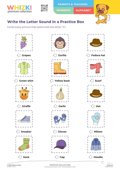 Write the Letter Sound in a Practice Box