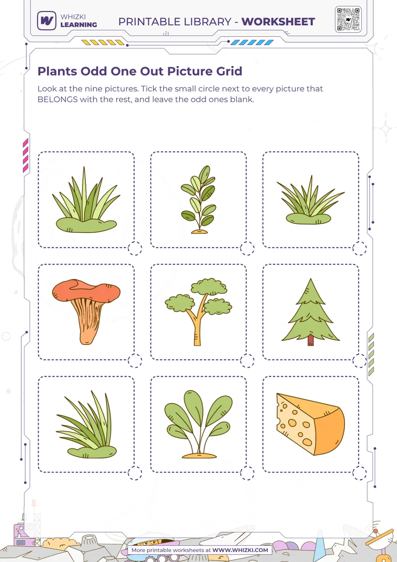 Plants Odd One Out Picture Grid
