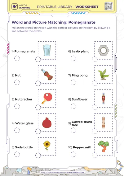 Word and Picture Matching: Pomegranate