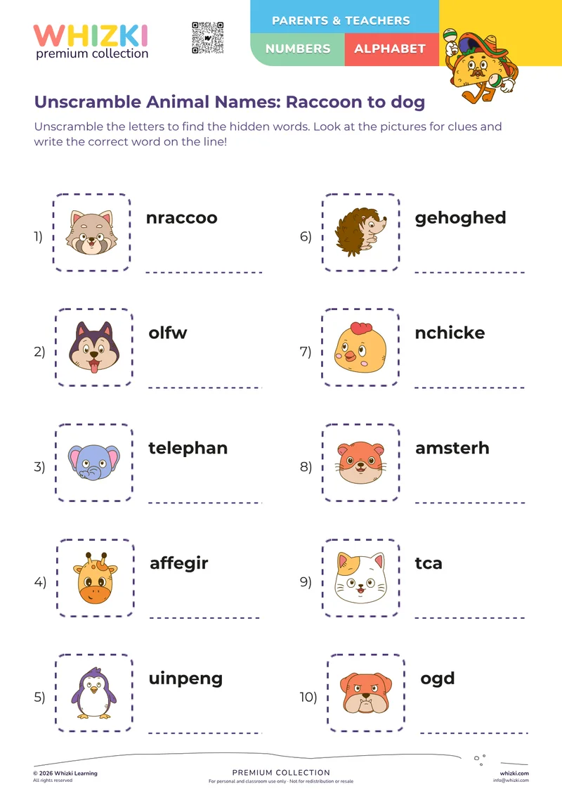 Unscramble Animal Names: Raccoon to dog