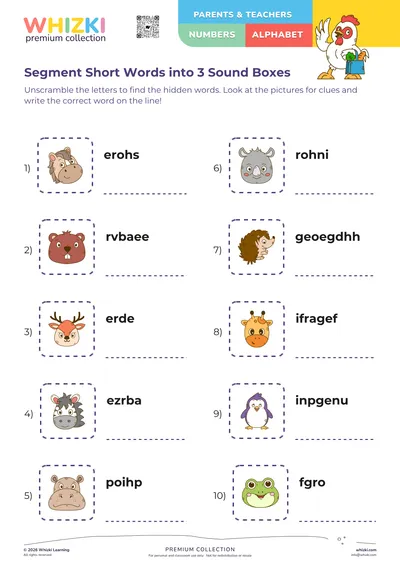 Segment Short Words into 3 Sound Boxes