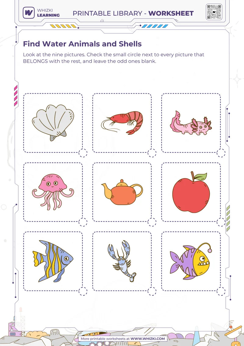 Find Water Animals and Shells