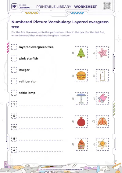 Numbered Picture Vocabulary: Layered evergreen tree