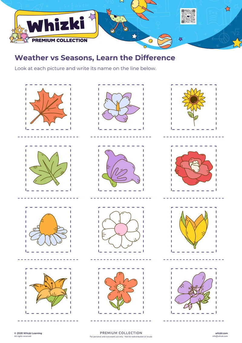 Weather vs Seasons, Learn the Difference