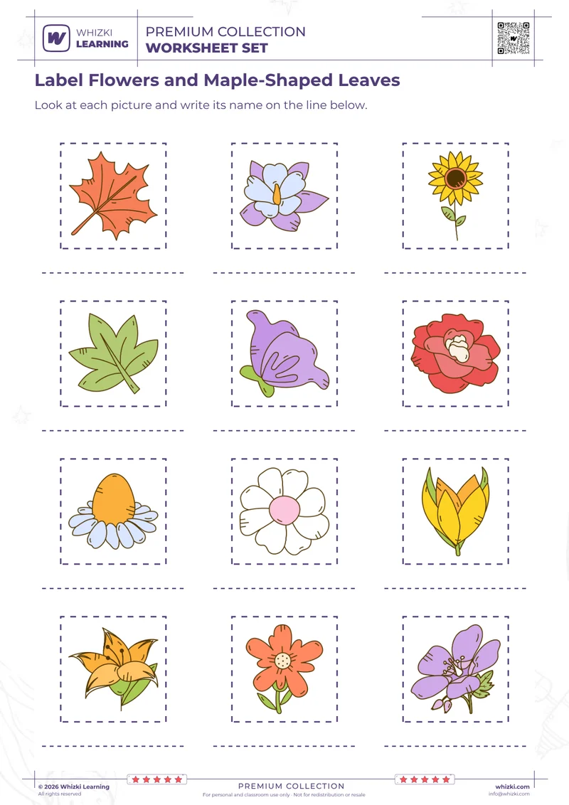 Label Flowers and Maple-Shaped Leaves