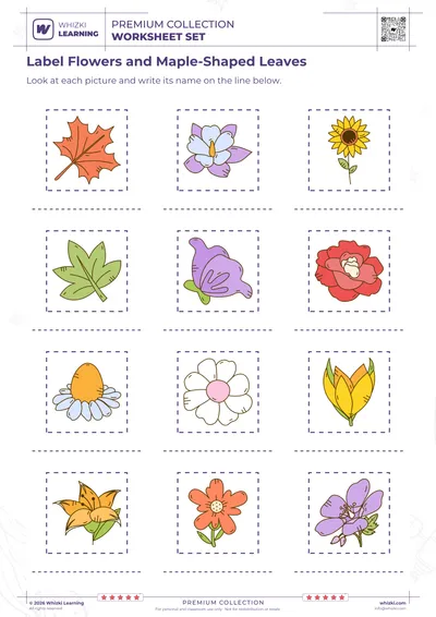 Label Flowers and Maple-Shaped Leaves